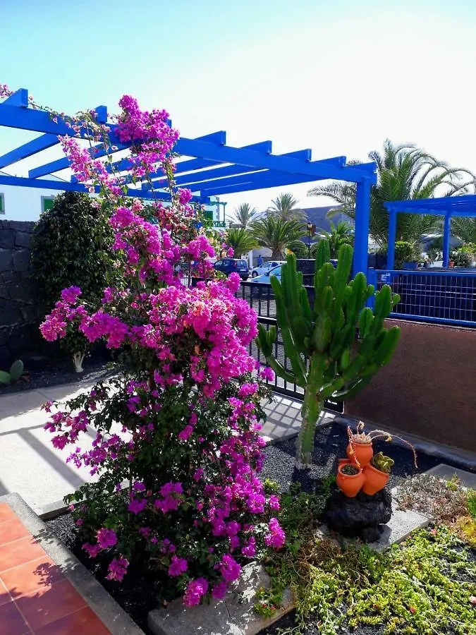 Villa Barracuda - 
